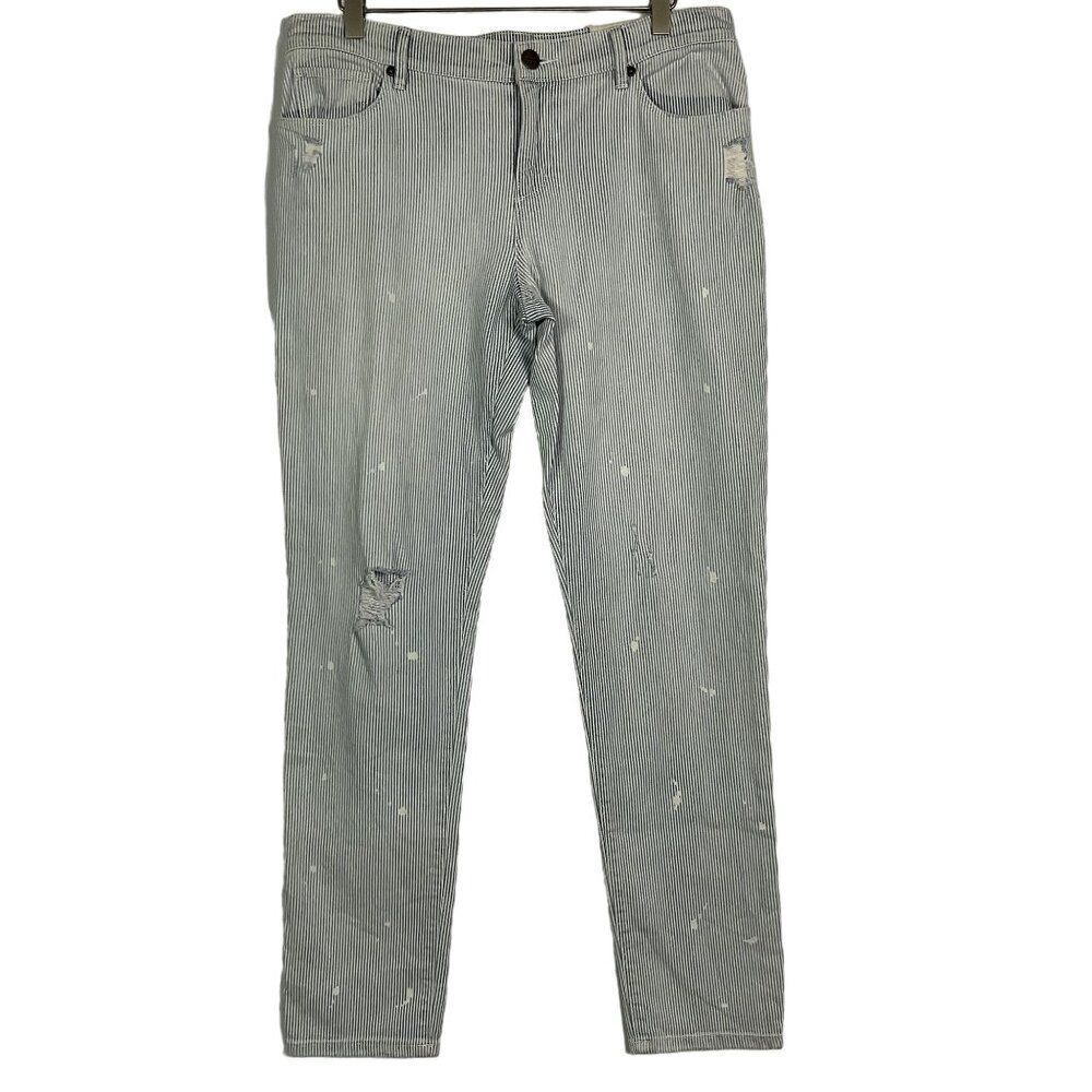 LOFT Women's Relaxed Skinny Railroad Striped Jeans Size 27/4, NWT